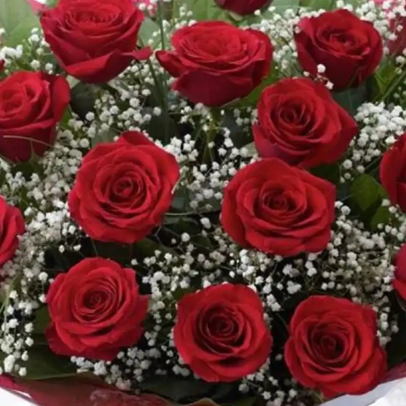 Luxury 18 Red Roses Romance Bouquet 2 Luxury 18 kisses Red Roses Bouquet