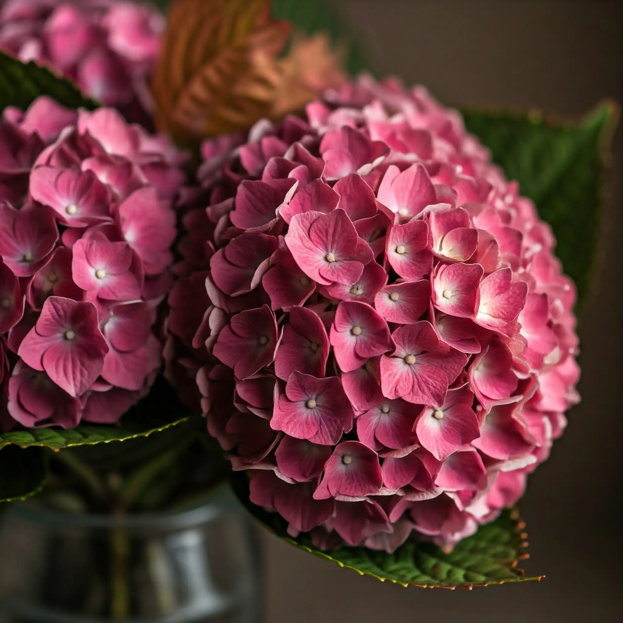 Rustic Antique Hydrangea Garden Bouquet 3 Rustic Antique Hydrangea Garden Bouquet - Image 3