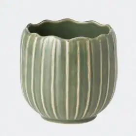 Palmero Pot - 5 Inch