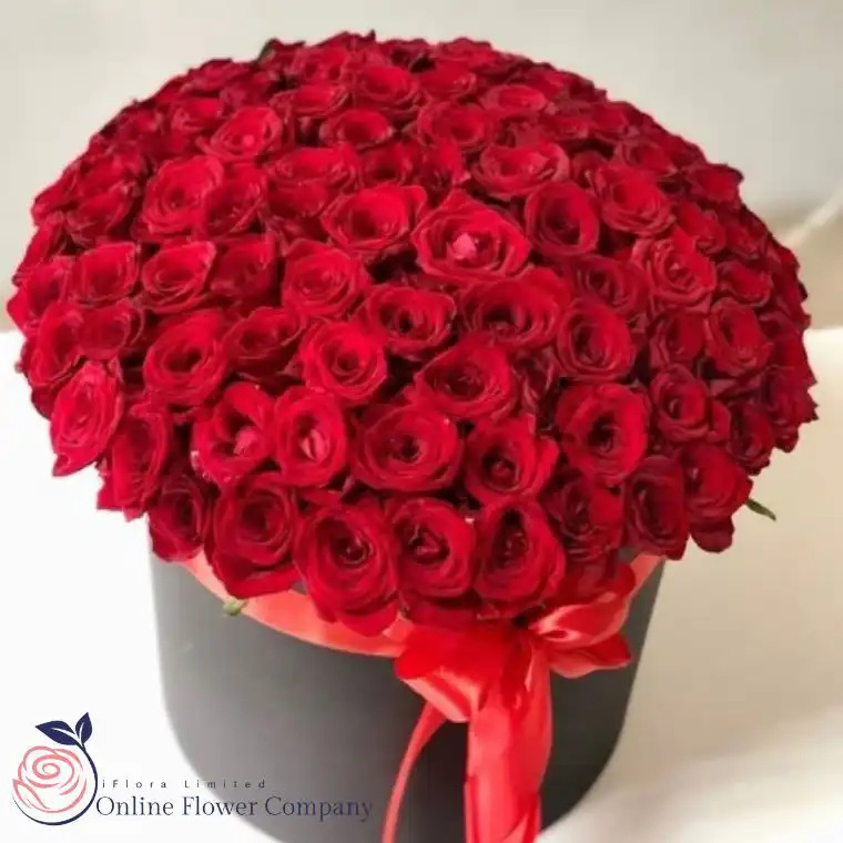 Midnight Velvet Red Rose Hatbox 2 Red Roses Box Arrangement