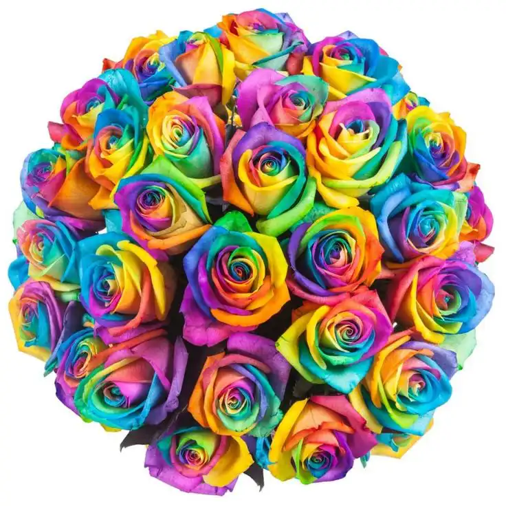 Vibrant Radiance Hand-Tied Rainbow Roses 2 Vibrant Radiance Hand-Tied Rainbow Roses - Image 2