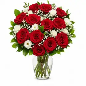 Classic Dozen Red Roses with Baby's Breath
