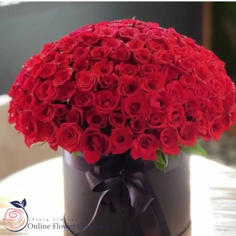 Luxury Red Rose Dome 2 Flowers for international women's day