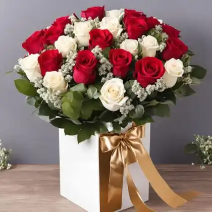 A luxury arrangement of fresh red and white roses in a box decorated with a gold satin ribbon.