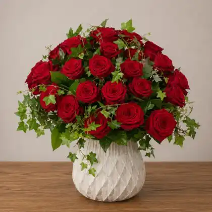 deep red roses_
