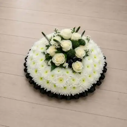 Elegant White Chrysanthemum and Cream Rose Posy Pad with green thistle and Speedwell spikes