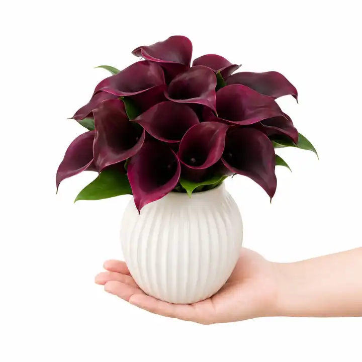 Dark Purple Calla Lily Bouquet in Glass Vase 1 dark purple calla lily