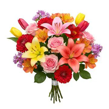 What Is Alstroemeria? 2 colorful alstroemeria flower