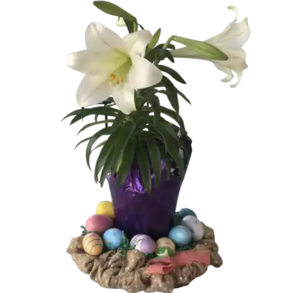 Easter Plants
