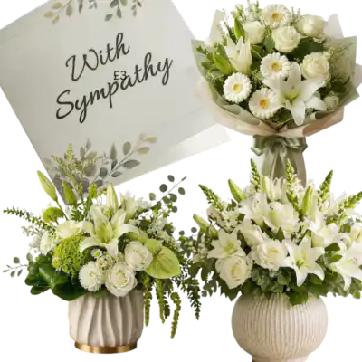 Sympathy Flower and Bouquet Collections