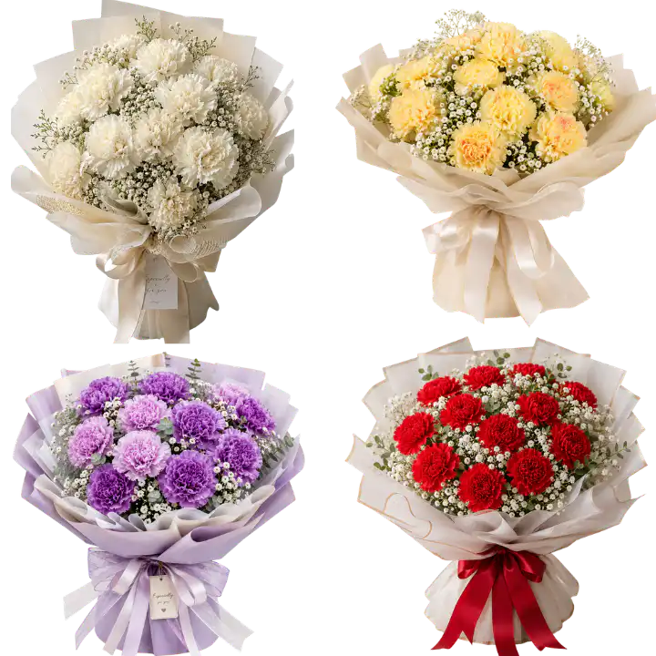 All Types of Carnation Bouquets