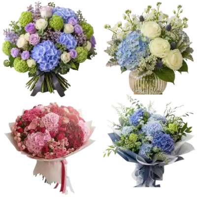 All Types of Hydrangea Bouquets