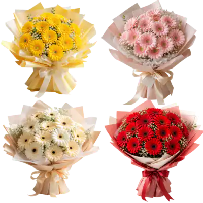 All Types of gerbera Bouquets